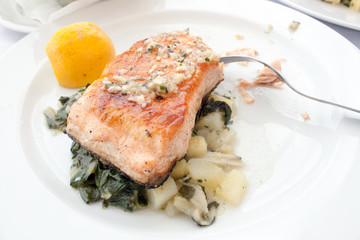 Salmon on plate