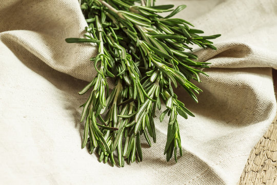 Fresh spicy fragrant rosemary on a gray napkin in rustic style,
