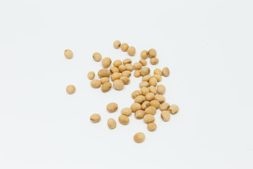 soybean