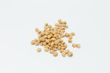 soybean