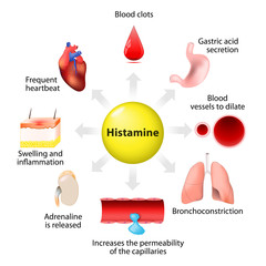 histamine action and adverse effects © designua