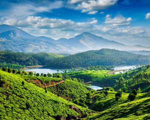 Tea plantations and river in hills