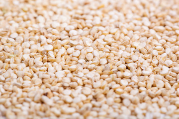 Quinoa
