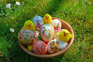 Easter Eggs with little chickens on a green grass