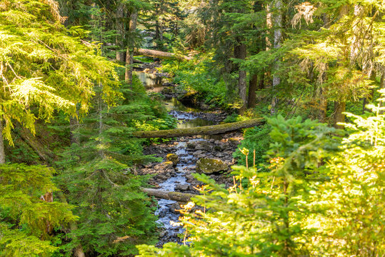 MOUNT CATHERINE TRAIL