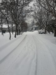 Fototapeta premium Karlı bir kış günü yol ve doğa manzarası beyaz karla kaplı doğa