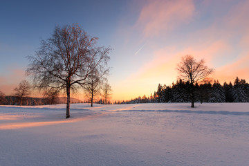 Winterlandschaft Schwarzwald