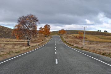 Autumn Road. Christchurch to Tekapo Road, Canterbury, New Zealand