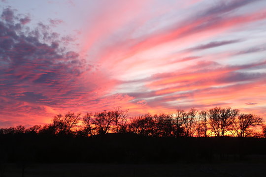 Sunset in Texas with trees and pink sky