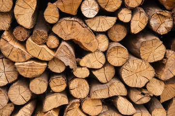 Wood background