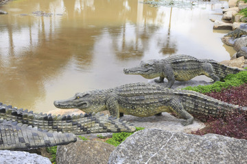 Fototapeta na wymiar Stock Photo:. Statue crocodile in front of crocodile ponds