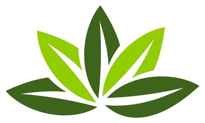 Health Life Spa and yoga 