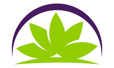 Health Life Spa and yoga 