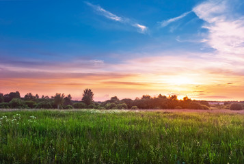 Obraz premium Sunset in summer field
