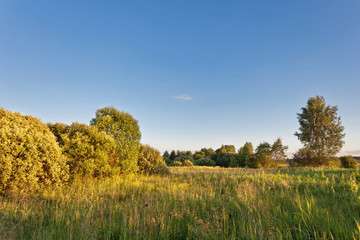 Sunny autumnal field