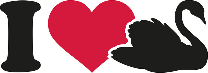 Obraz premium Uwielbiam obraz łabędzia