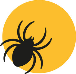 Spider in front of the moon
