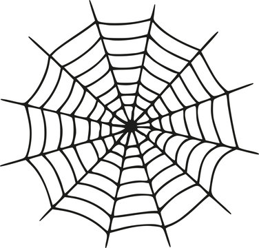 Spider web realistic