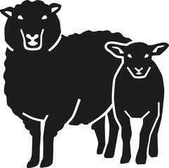 Mother sheep with lamb