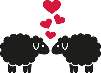 Sheeps in love with hearts