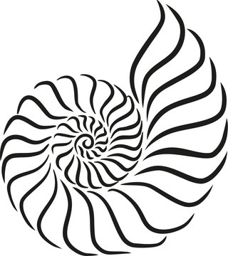 Shell snail caligraphy style