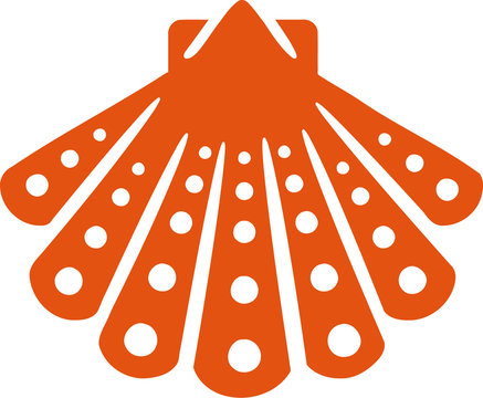 Beautiful shell icon