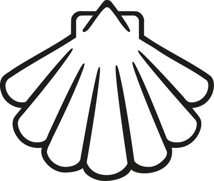Shell icon contour
