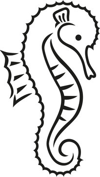 Seahorse caligraphy