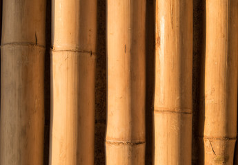 bamboo texture pattern backgroung