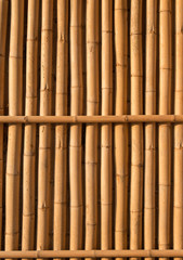 Naklejka premium bamboo texture pattern backgroung