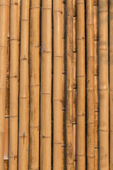 bamboo texture pattern backgroung