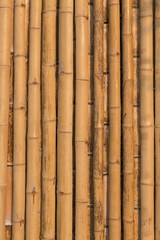 Fototapeta premium bamboo texture pattern backgroung