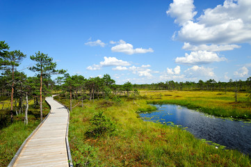 Hochmoor Riisa Raba / Estland