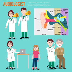 Audiologist , audiology , anatomy of ear vector infographic illu