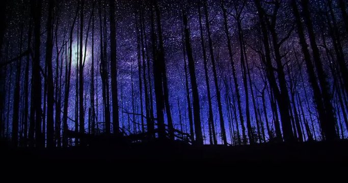 Beautiful Forest Night Sky Milky Way Moon and Stars Time Lapse 4k
