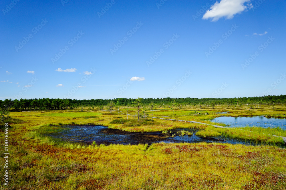 Poster Hochmoor Riisa Raba / Estland