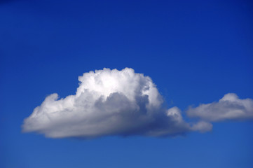 Naklejka na ściany i meble single white cloud on blue sky