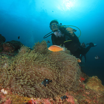 Scuba diving exploring coral reef Similans Thailand
