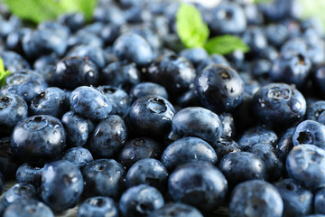 Tasty ripe blueberries with green leaves close up