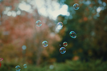 Soap bubbles outdoor