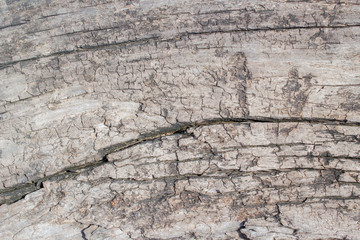 old rustic wood