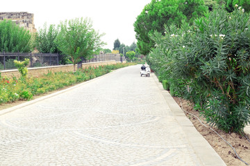 Asphalt path in the park