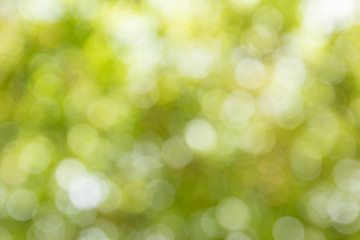  Blurred yellow lights circular bokeh abstract for Christmas bac