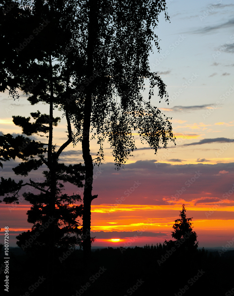 Wall mural sonnenuntergang am väike munamägi / estland