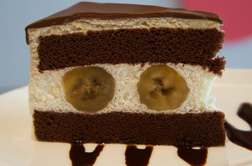 Chocolate cake on white plate
