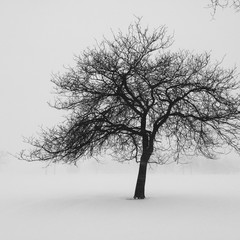 Obraz premium Feeling alone