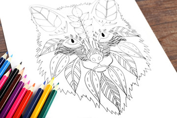 Doodle drawing of fox and colour pencils on table