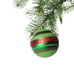 Christmas bauble on a fir branch, isolated on white