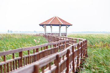 Fototapeta na wymiar walkway with old pavilion in lake of thailand.
