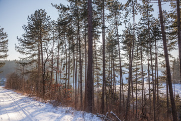 Winterliche Landschaft